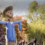 Scarecrow Festival