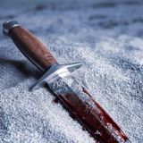 Murder Mystery Experience: Evil on the Beach