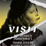 The Visit