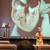 Dissection Demo
