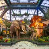 Bellagio Conservatory & Botanical Gardens