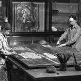 Conservation Window