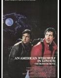 IndieFilm/American Werewolf in London/Fright Night
