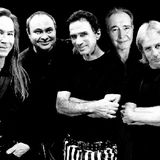 The Fools
