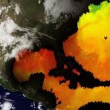 Fragile Planet
