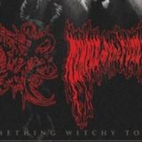 XASTHUR & Temple of the Fuzz Witch