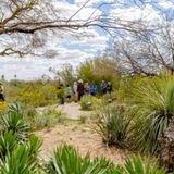 Tour: Connecting Plants & People