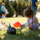 Glass Harvest 2026 (free)
