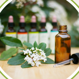 The Healing Power of Flowers
