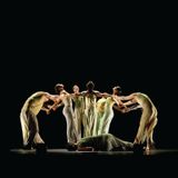 Limón Dance Company