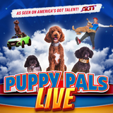 Puppy Pals Live - The Action-Packed Comedic Stunt Dog Show featuring RESCUE DOGS!