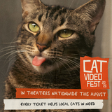 CatVideoFest