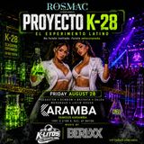 Proyecto K-28