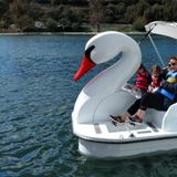 Swan Boat Scavenger Hunt