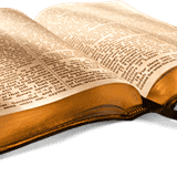 Bible Groups