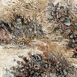 Opening Reception / Meet the Artist: Light, Shadow, and Memory