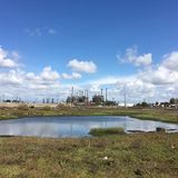 Los Cerritos Wetlands Habitat Restoration