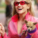 Legally Blonde (25th Anniversary)