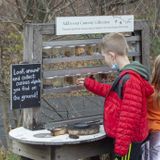 Fall Discovery Days