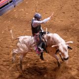 Bull Riding