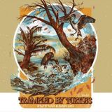Trampled by Turtles