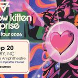 Rainbow Kitten Surprise: bones North American Tour