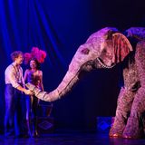 Water for Elephants