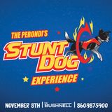 Chris Perondi's Stunt Dog Experience