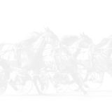 Breeders Crown Racing
