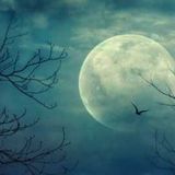 Fright Night