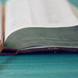 Elective Bible Studies