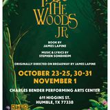 INTO THE WOODS