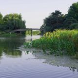 Nature and Landscape Portfolio A