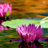 Photographing Water and Reflections