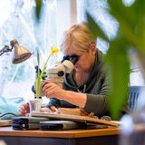 Botany for Botanical Artists
