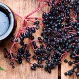 Elderberry Syrup Workshop