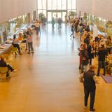 Science Fair