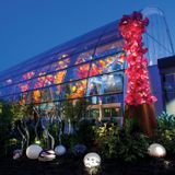CHIHULY NIGHTS AFTER 5PM