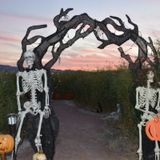 Haunt the Wetlands