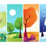 OPEN CALL - Seasons of Color