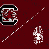 Women's Basketball vs. Albany