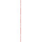 Cuba Libre Nights