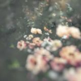 Ashley Woodson Bailey: What Remains