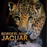Borderlands Jaguar