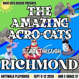 The Amazing Acro-Cats