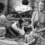 Matinee: Sun Comes Up (35mm)
