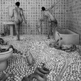 A Gallery of Their Own: Women Artists from the Carr and Goldblum Gift