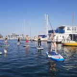 SUP & Sail — Catamaran Experiences