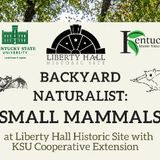 Backyard Naturalist: Mammals