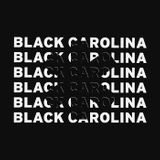 2026 Black Carolina Artist Residency Reception